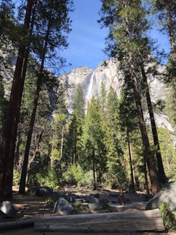 Breckenridge Chalet Near Yosemite. Dog Friendly! غروفلاند المظهر الخارجي الصورة