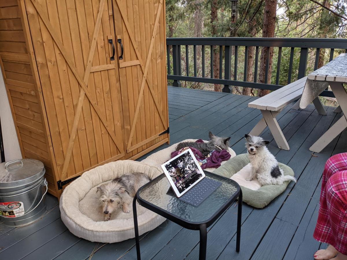 Breckenridge Chalet Near Yosemite. Dog Friendly! غروفلاند المظهر الخارجي الصورة